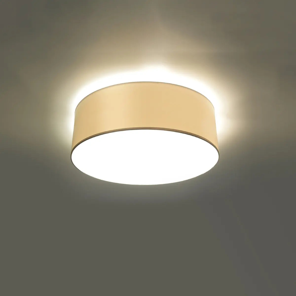 Deckenleuchte UFO 25 – Weiß & PVC