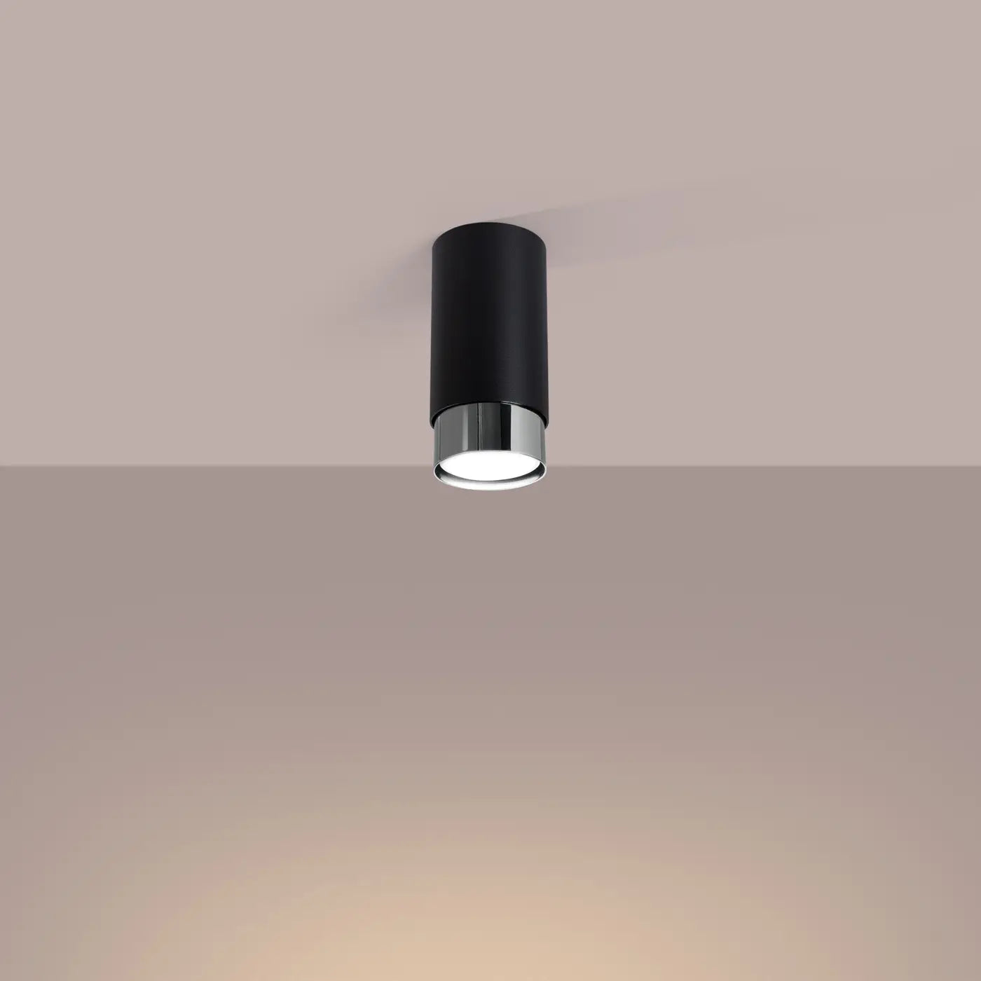 Plafondlamp Tube 2-Tone 12 – Zwart & Staal