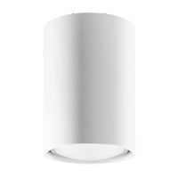 Plafondlamp Tube 10 – Wit & Staal