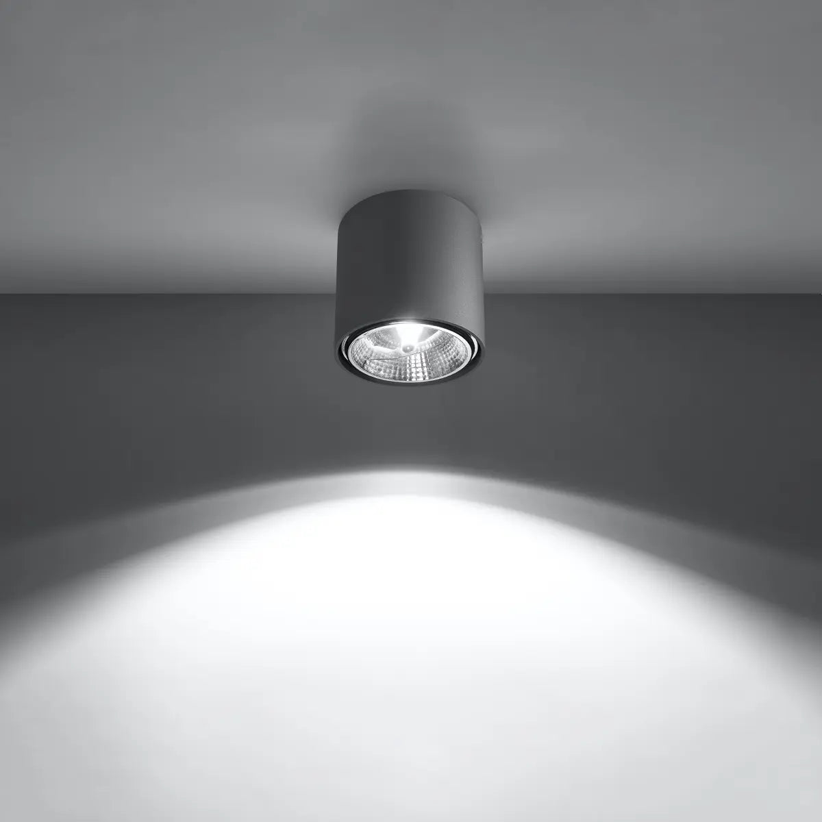Plafondlamp Rondo Flash – Grijs & Aluminium