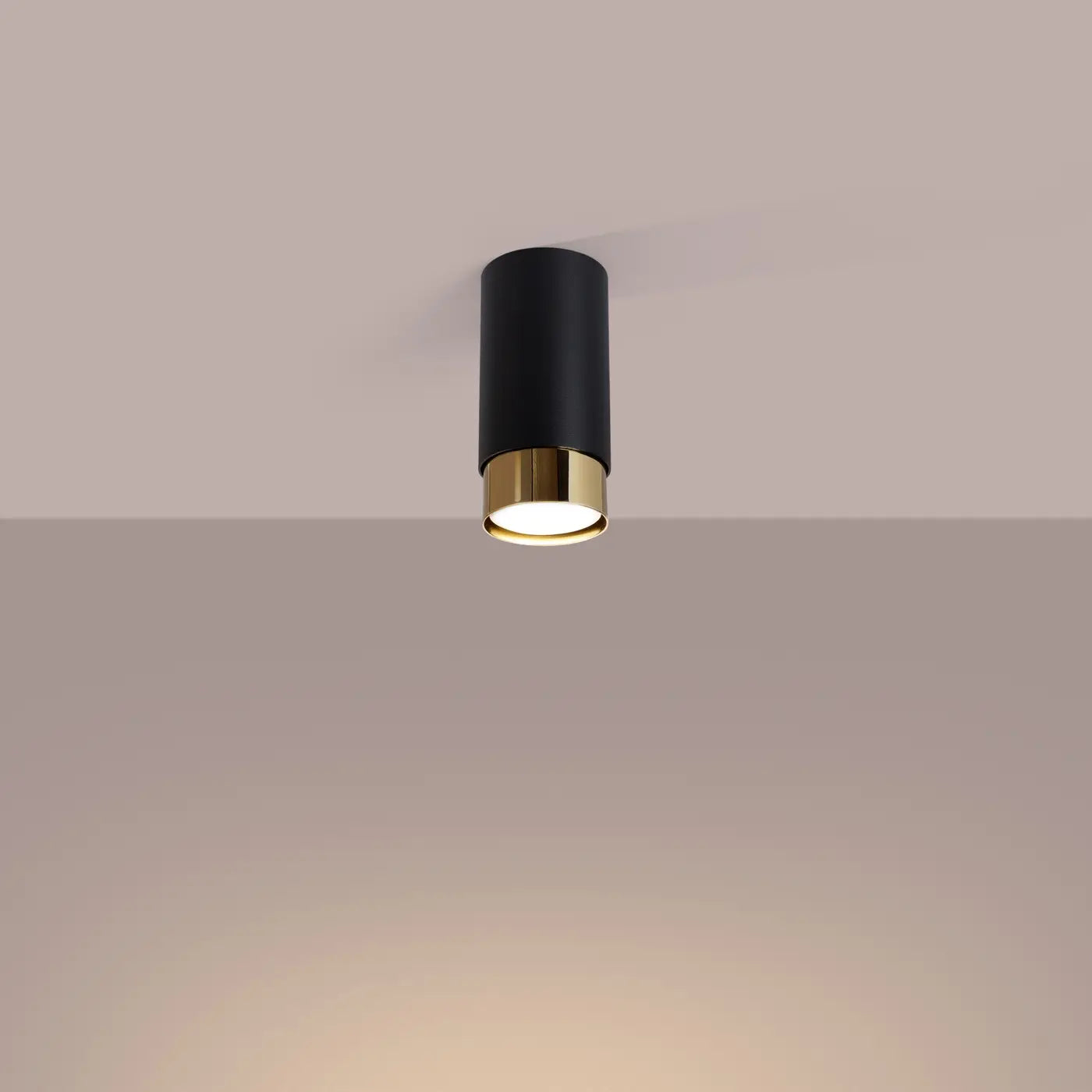 Plafondlamp Tube 2-Tone 12 – Zwart & Goud