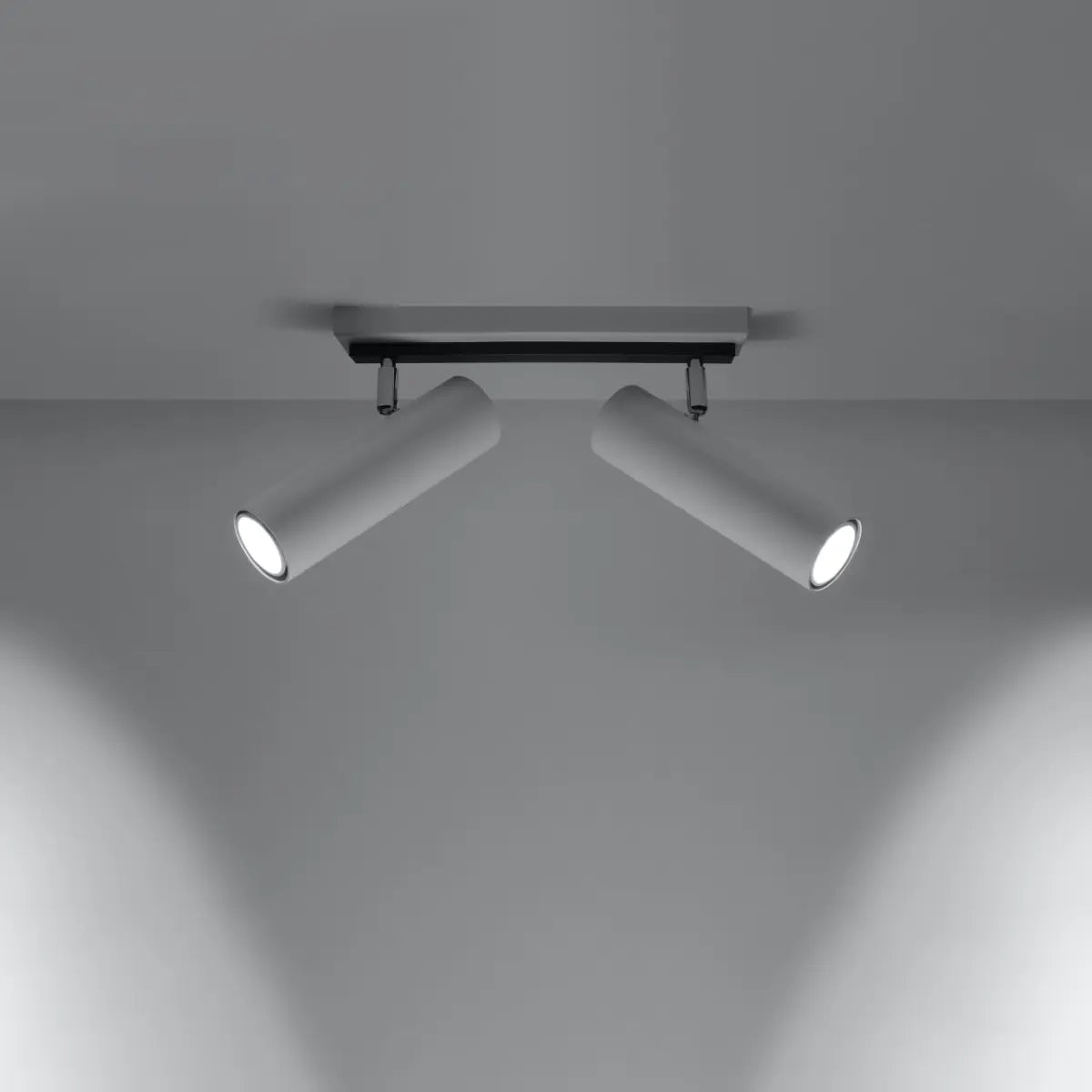 Plafondlamp Rondo Spot 2 – Wit & Staal