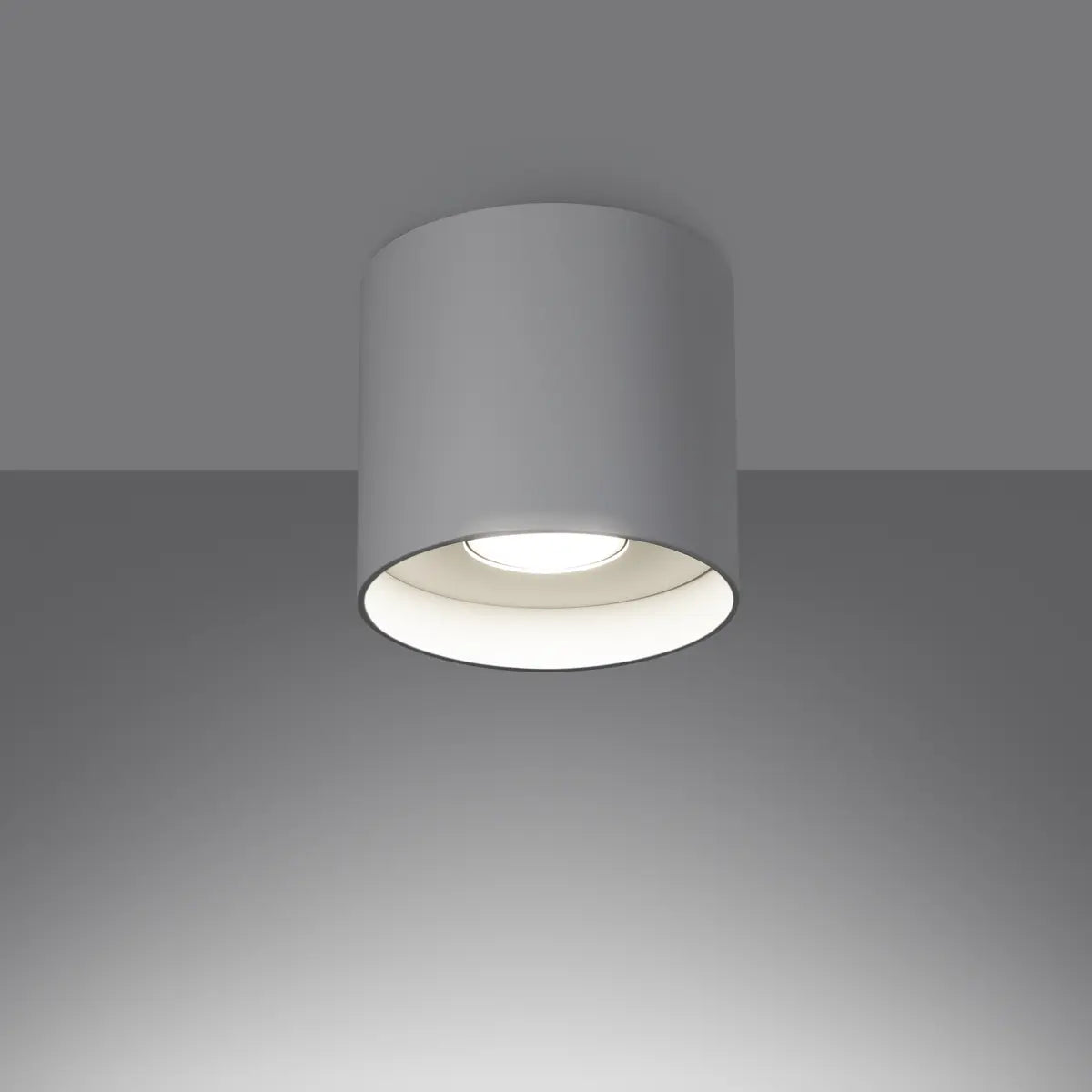 Deckenleuchte Tube Plus – Weiß & Aluminium