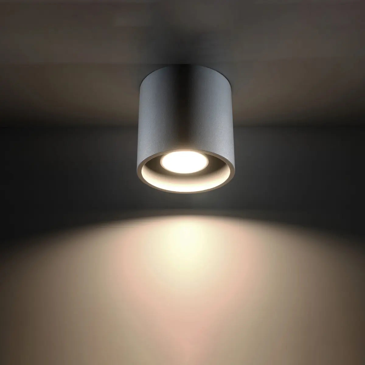 Plafondlamp Rondo 1 – Grijs & Aluminium