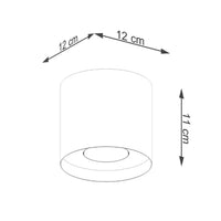 Plafondlamp Tube Plus – Zwart & Aluminium