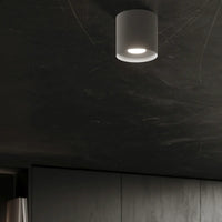 Plafondlamp Tube Plus – Grijs & Aluminium