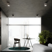 Deckenleuchte Tube Plus – Grau & Aluminium