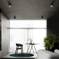 Plafondlamp Tube Plus – Zwart & Aluminium