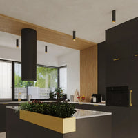 Deckenstrahler Tube 2-Tone 22 – Schwarz & Gold