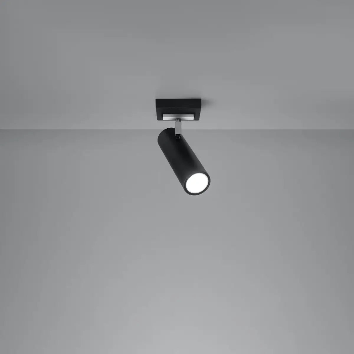 Deckenleuchte Rondo Spot 1 – Schwarz & Stahl
